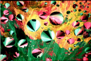 10.gif